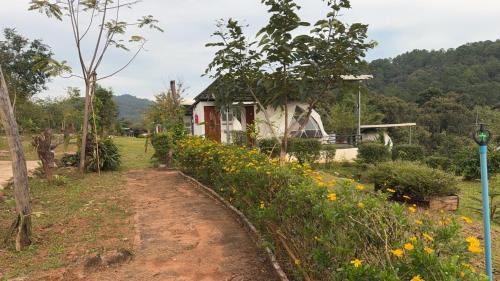 Mae Wang Other | ข้างเขาแคมป์ Khangkhao Camp