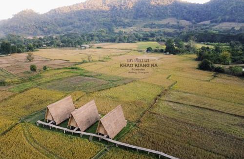 Ban Ton Lung Cabin | Khao Kiang Na เขา เคียง นา