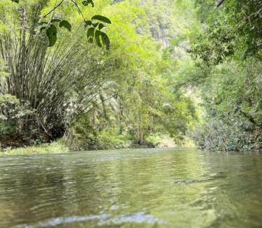 Khlong Sok Bed & Breakfast | Khaosok Mysterious Restaurant and Camp ร้านลึกลับริมคลอง