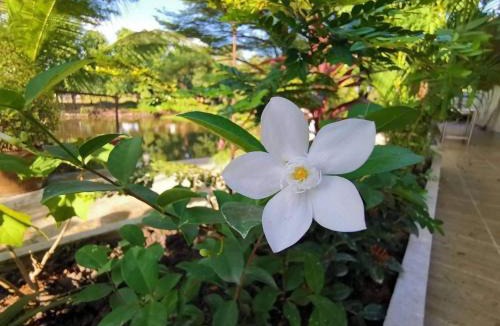 Suphan Buri Hotel | Lert Sri Hotel