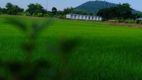 Chai Nat House | เช็คอินรีสอร์ทชัยนาท Check-in resort