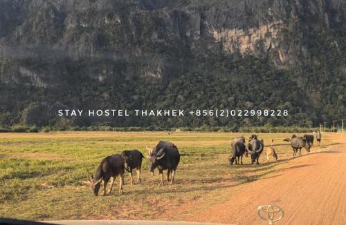 Thakhek Hostel | STAY HOSTEL - MOTORBIKE & LOCKER RENTAL Thakhek