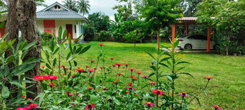 Mueang Pan House | Pimpisa Garden พิมพิศา การ์เด้นท์