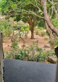 Chaloklum Hotel | RED PEARL BEACH RESORT