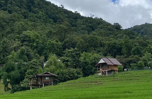 Mae Chaem House | บ้านพักชิปู ป่าบงเปียง