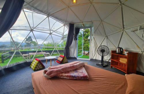 Mae Rim Resort | Phu Fahsai Homestay