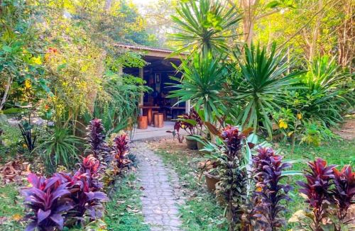 Phanom House | Toh Tao Homestay