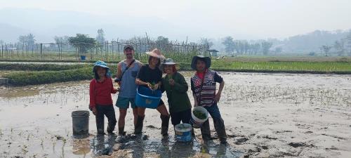 Mueang Pan Other | Kaewma farmstay