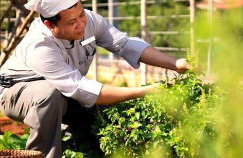 Krabi Hotel | Anana Ecological Resort Krabi - SHA Extra Plus
