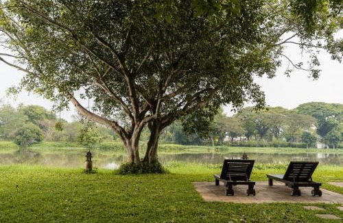 Wieng Resort | The Legend Chiang Rai Boutique River Resort & Spa