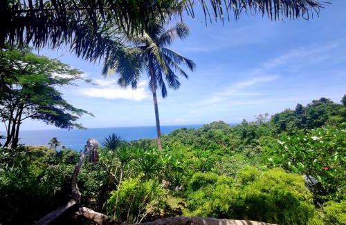 Koh Tao Resort | Sairee View Resort