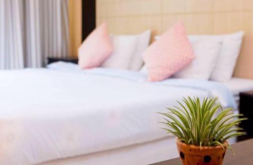 Lam Luk Ka Hotel | ทิลแลนด์เซีย รีสอร์ท