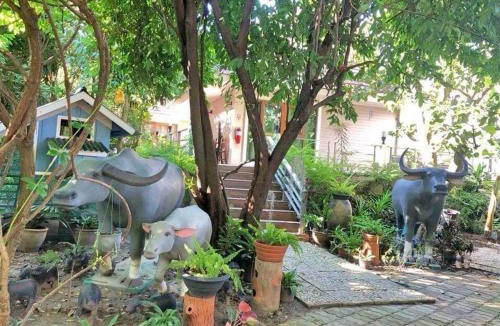 Don Phai Resort | Damnoen Care Resort