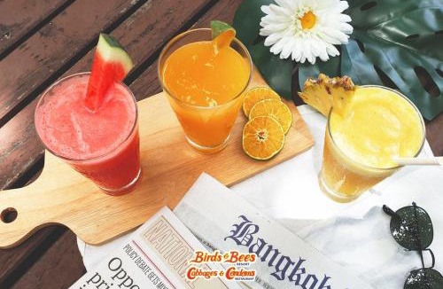 Pratumnak Hill Resort | Birds and Bees Resort