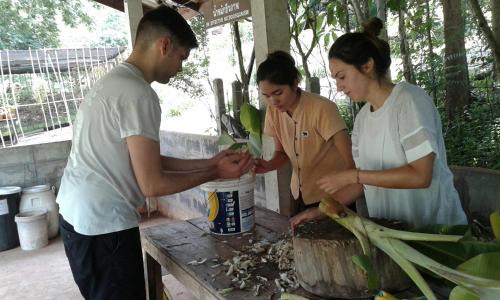 Dan Sai Resort | Phunacome Resort