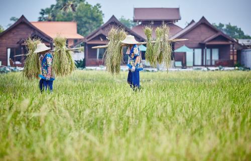 Mae Nam Resort | Farmers Villa