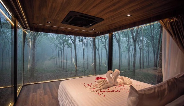 Timber Society Boutique Hideaway