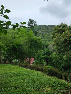 Wildlife Private Camp