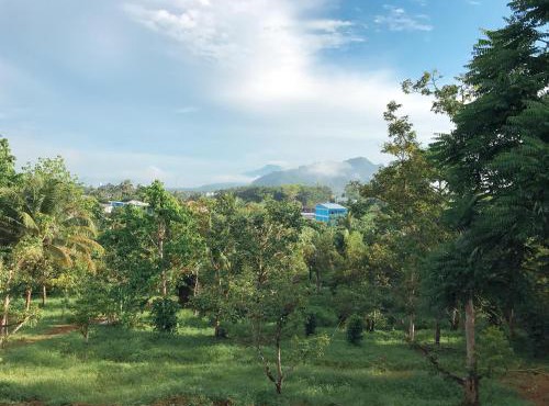 The Box House in Krabi