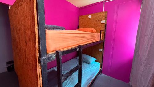 Pink Kraken Hostel