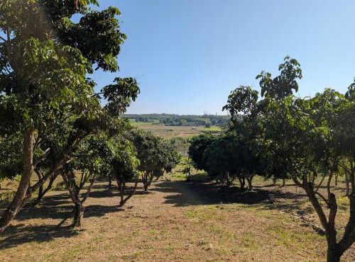 Loei Valley Farm Stay in Wang Saphung