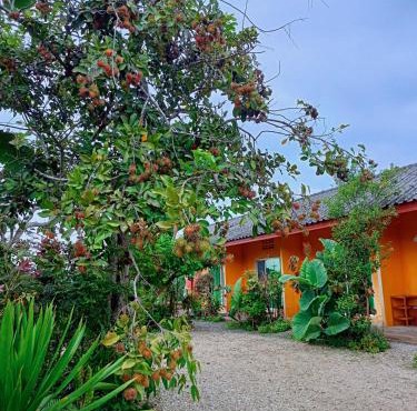 Six Nature Resort