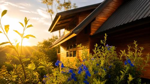 Nalintara resort นลินธารารีสอร์ท in Ban Pha Saeng Lang