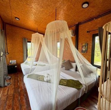 ภูธาราทรีเฮาส์แอทเชี่ยวหลาน Phutara Treehouses At Cheowlan in Surat Thani