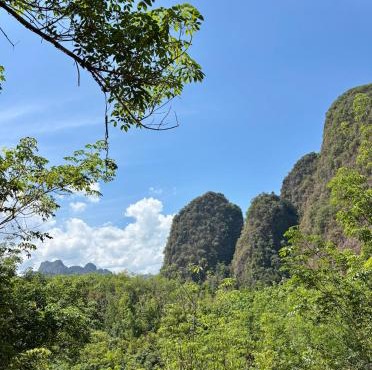 Khao Sok Jungle Roots Resort in Khao Sok National Park