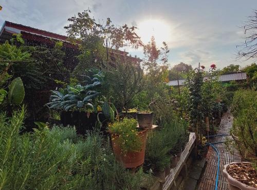 Baan Baan Cozy Hostel in Phitsanulok