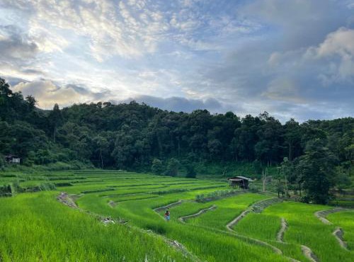 Chibacall ชิบะคอล Karen Mountains Hideaway Homestay in Samoeng