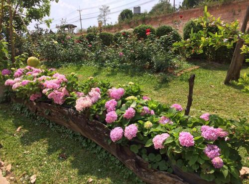 Phurua Bussaba Resort & Spa ภูเรือบุษบารีสอร์ท แอนด์ สปา in Loei