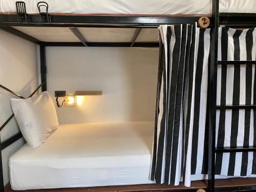 Rent Chiangmai 